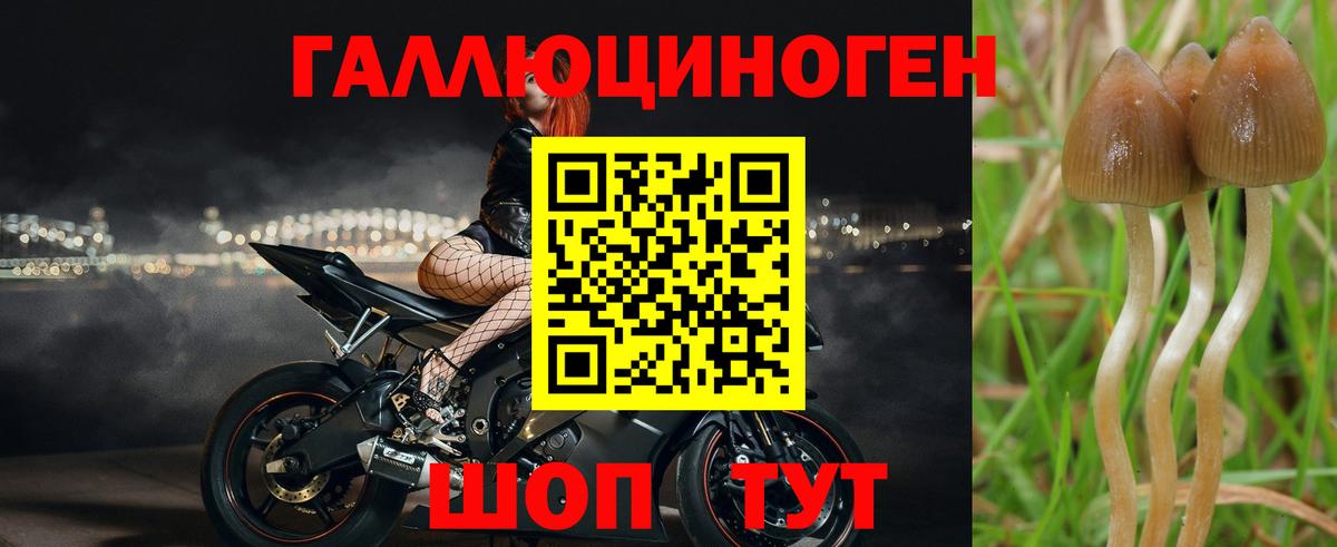 Галлюциногенные грибы Magic Shrooms Полевской